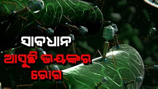 ୩୦ରୁ ଅଧିକ ଦେଶରେ ଚିହ୍ନଟ ହେଲାଣି କରୋନାର ଆଉ ଏକ ରୂପାନ୍ତରିତ ପ୍ରକାର...