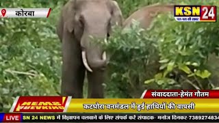 पसान/कोरबा।।कटघोरा वनमंडल में हुई हाथियों की वापसी,ग्रामीणों में फैली दहशत।