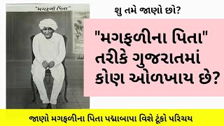 જાણો ગુજરાતના મગફળીના પિતા વિશે || Groundnut father of Gujarat