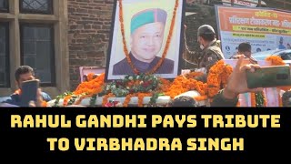 Rahul Gandhi Pays Tribute To Virbhadra Singh | Catch News