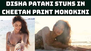 Actress Disha Patani Stuns In Cheetah Print Monokini, Says She's 'Blessed' | Catch News