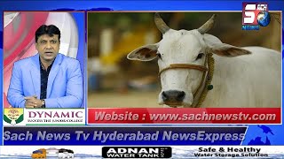 HYDERABAD NEWS EXPRESS | Hyderabad Mein Bakrid Ka Jaanwar Hoga Mahenga | SACH NEWS |