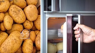 potato kept in refrigerator cause cancer