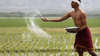 Kuttanadan Rice crop in danger due to Uria shortage