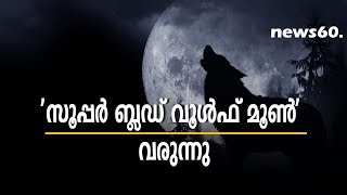 super blood volf moon in january 2018