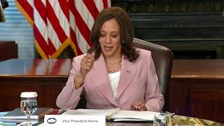Vice President Kamala Harris holds a roundtable with disabilities advocates on voting rights.