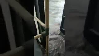 स्विमिंग पूल में तैरती डीटीसी बस (जहांगीरपुरी जीटीके डिपो के पास की वीडियो)