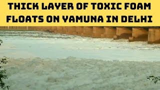 Thick Layer Of Toxic Foam Floats On Yamuna In Delhi | Catch News