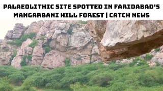 Palaeolithic Site Spotted In Faridabad's Mangarbani Hill Forest | Catch News