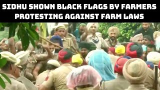 Sidhu Shown Black Flags By Farmers Protesting Against Farm Laws In Punjab’s Nawanshahr | Catch News