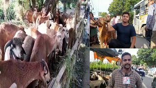 Bakrid Ko Lekar Hyderabad Ki Markets Se Khususi Report | SACH NEWS |
