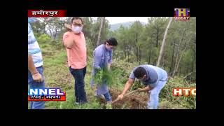 Hamirpur plantation हमीरपुर में रेडक्रास सोसाइटी के सहयोग से मनाया गया जिला स्तरीय वन महोत्सव