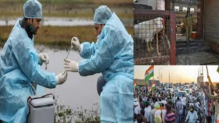 Bird Flu Se Hui Ek Bachchay Ki Maut | Desh Ki Rajdhani Se Khaas Khabrain | SACH NEWS |