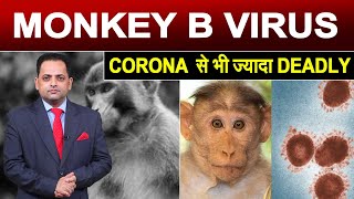 Monkey B Virus से संक्रमित होने पर 80% तक मौत की दर, जानिए लक्षण और बचाव के उपाय