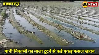 पानी का नाला टूटा, बख्तावरपुर में कई एकड़ में लगी सब्जी की फसल खराब, Bakhtawarpur