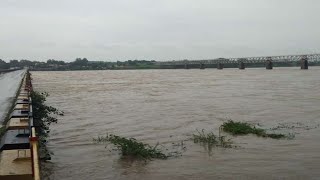 Mortakka Bridge खंडवा के क्या है हालात | Madhya Pradesh | मध्य प्रदेश बारिश की ताज़ा ख़बर @Tez News
