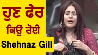 Shehnaz Gill again crying in Bigg Boss house | Dainik Savera