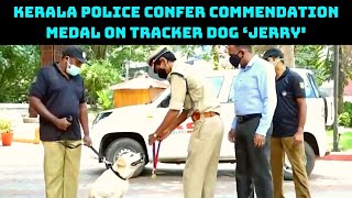 Watch: Kerala Police Confer Commendation Medal On Tracker Dog ‘Jerry' | Catch News
