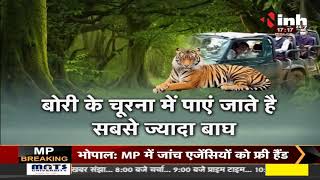 Madhya Pradesh || CM Shivraj Singh पहुंचे सतपुड़ा टाइगर रिजर्व, परिवार के साथ जंगल सफारी का लुत्फ