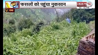 Chamba में बारिश से तबाही, फसलों को पहुंचा नुकसान