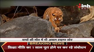 Madhya Pradesh News || एक साल में 29 बाघों की मौत, शुरू होगी गणना