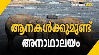 ആനകൾക്കുമുണ്ട്  അനാഥാലയം | Elephants Have An Orphanage