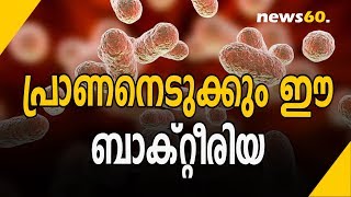 പ്രാണനെടുക്കും ഈ ബാക്റ്റീരിയ | These Bacteria That Kill The Soul