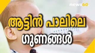 കുഞ്ഞുങ്ങൾക്ക് ആട്ടിൻ പാൽ നൽകണമെന്നു പറയുന്നതിനു  പിന്നിലെ കാരണം | Goat's Milk