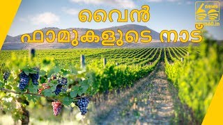 വൈൻ ഫാമുകളുടെ നാട്|The Land Of Wine Farms