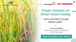 CII Power Session on Direct Sown Paddy
