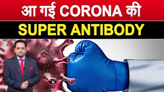 भेड़ के खून बनी शक्तिशाली एंटीबॉडी, कोरोना वायरस पर 1 हजार गुना ज्यादा असरदार