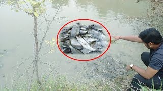 पुर विडियो जरुर देखे : The Man Has Give Food For Fish And Show The Humanity,