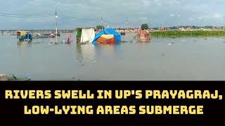 Rivers Swell In UP's Prayagraj, Low-Lying Areas Submerge | Catch News