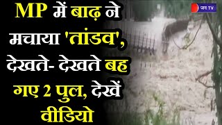 Madhya Pradesh Flood News | MP के दतिया में बाढ़ का कहर, दतिया में 2 पुल बहे... गांवों में हाई अलर्ट