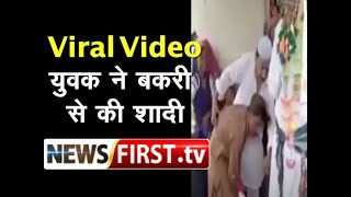 Viral Video : युवक ने बकरी से की शादी  ll Newsfirst.tv