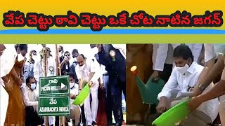 Forest Festival at the AIIMS campus || Ys Jagan Participated Meeting | social media live