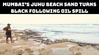 Mumbai’s Juhu Beach Sand Turns Black Following Oil Spill | Catch News