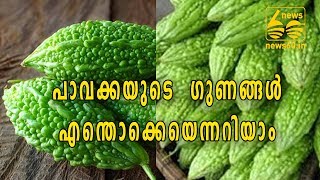 പാവക്കയുടെ ​ഗുണങ്ങള്‍ എന്തൊക്കെയെന്നറിയാം  |  News60 ML