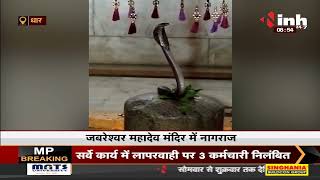 Sawan का तीसरा सोमवार, Jabreshwar Mahadev मंदिर में शिवलिंग पर लिपटा सांप