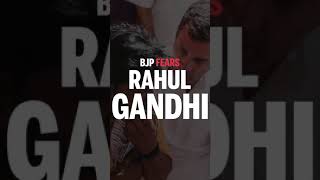BJP Fears Rahul Gandhi