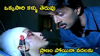 ప్రాణం పోయినా వదలను | Kiccha Sudeep Telugu Movie Scenes | Sangeetha