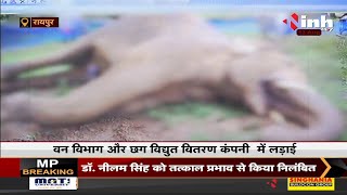 Chhattisgarh News || वन विभाग और बिजली कंपनी की लड़ाई में 15 हाथियों की करंट से हुई मौत
