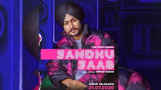 Sandhu Saab l Himmat Sandhu l First Look l New Punjabi Album l Dainik Savera