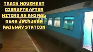 Train Movement Disrupts After Hiting An Animal Near Jhinjhak Railway Station | Catch News