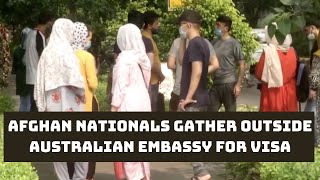 Afghan Nationals Gather Outside Australian Embassy For Visa In New Delhi | Catch News