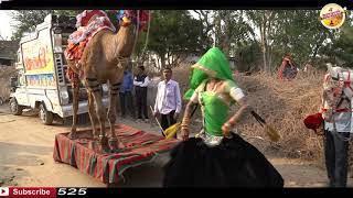 जयपुर की शालिनी का डांस देखकर मजा आ जाएगा वीडियो पूरा देखें
