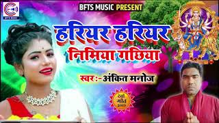 2019 का New देवीगीत~Hariyar Hariyar Nimiya Gachhiya~हरियर हरियर निमिया गछिया~Bhakti Song~Ankit Manoj