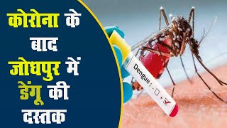 जोधपुर में डेंगू की दस्तक, 24 घंटे में मिले 6 मरीज, प्रशासन अलर्ट
