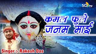 New Khortha Mansha Puja Song 2019 Singer - Rakesh Das . Kamal Phoole Janam Mai ke || SD Tv Music