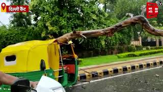 देखें Delhi का Viral video, चलते Auto पर गिरा पेड़, धौला कुआँ का भी हाल बेहाल